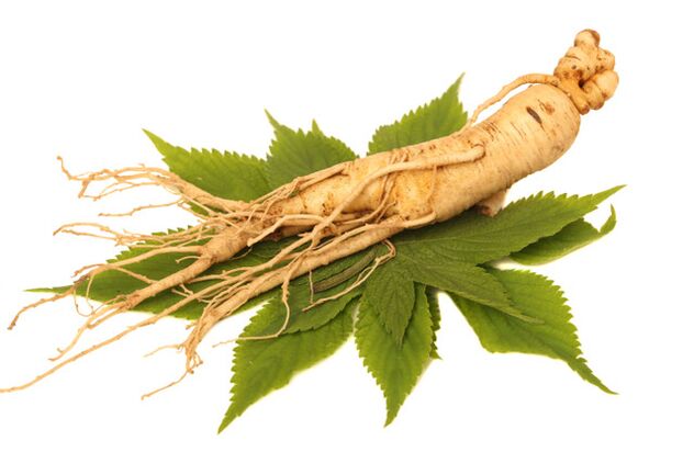 Ginseng Root im ZXCVBNQWERT Splash